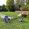Le Clos des Brumes Chalet