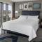 Le Meridien Arlington