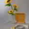 Lola - New, best located, elegant & super tidy - Kotor