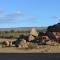 Savanna Guest Farm