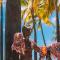 1BR with Great City Views, 3 mins to Waikiki Beach!