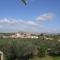 Bouganville