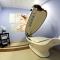 Hotel Aviator Kielce "Business Hotel Medical & Spa" - Kielce