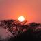 Masodini Game Lodge - Hoedspruit