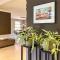 Amazing Home In Son En Breugel - 山恩伯伍格