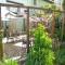 Lupeni Alley cozy central apartment&private garden - 布拉索夫