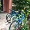 Isle of Palms Charleston Beach House 3 bdr 3 night minimum Private Pool Half mile to beach - جزيرة النخيل
