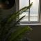 Sound of the Sea - Penthouse in Portrush