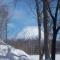Niseko Shirokuma Cottage