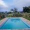 Addo Wildlife - Addo