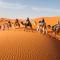 Desert View Luxury Camp - 梅尔祖卡
