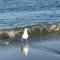 Pension Wald und See