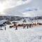 Exclusive mountain cabin with spectacular views at the top of Hodlekve with possibility of extra unit