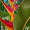 Los Paniquines Ecolodge