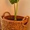 Bohemian Apartment - Ioannina