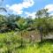 Welcome to the Amazon