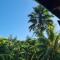 A Peace In Paradise