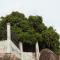 Safari Junction Backpackers Hostel Mwanza