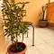 Bohemian Apartment - Ioannina