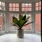 Very Large Central Property - Dudley