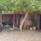 Matsieng Home Gardens and Landscaping