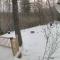 Perfectly Imperfect Cabin - Turtletown