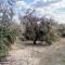 Charming House with Pool in Montilla - Jarata
