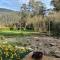 Treetops at Harrietville