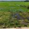 Suduweli Beauties of Nature - Yala