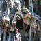 Edy Homestay