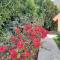 Maison cosy Les Anses dArlet + Jardin
