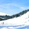 Appartement cosy à Bagnères-de-Luchon 45 m² proche pistes de ski