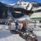 Eisenerz Alpine Apartement RoSy