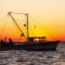 Beachcomber - Stevensville