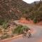 Kasbah Tamadot - Sir Richard Bransons Moroccan Retreat