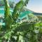Exceptional Villa in La Gaulette with Private Pool