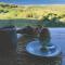 Charming house with sea and mountain views in El Chaparral - EL Chaparral
