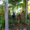 Rainforest Motel, Mission Beach