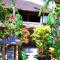Guci Guesthouses