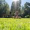Camping het Bosbad
