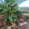 Kanaar Jungle View Resort - Rishikesh