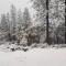 Cody's Cozy Cottage-Near Yosemite - ماريبوسا