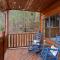 Bears Den Way Resort Cabin w Games Hot Tub View Mins from Dollywood - 赛维尔维尔