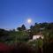 Villas Julieta