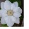 Gite Labradors De Bailly - Giverny - 圣皮埃尔拉吉尔