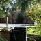 Gite Labradors De Bailly - Giverny - 圣皮埃尔拉吉尔