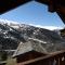 Charmant chalet de montagne en bord de piste - 瓦尔梅尼耶