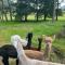 Great Glen Hostel - Spean Bridge