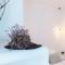 Villa Rocabella Just 100m from Glyfada Beach