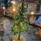 Rustic wood house - A village home stay in Jibhi Valley